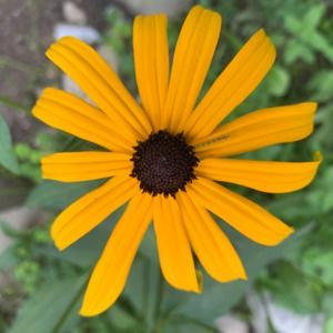 Meet your Posher, Pam and